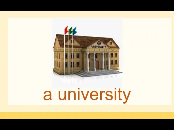 a university