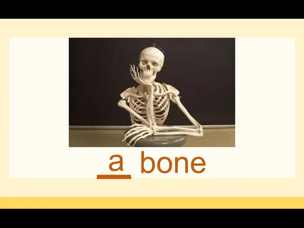 __ bone a