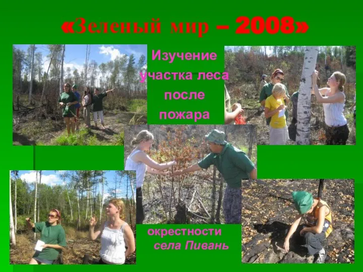 «Зеленый мир – 2008» Изучение участка леса после пожара окрестности села Пивань
