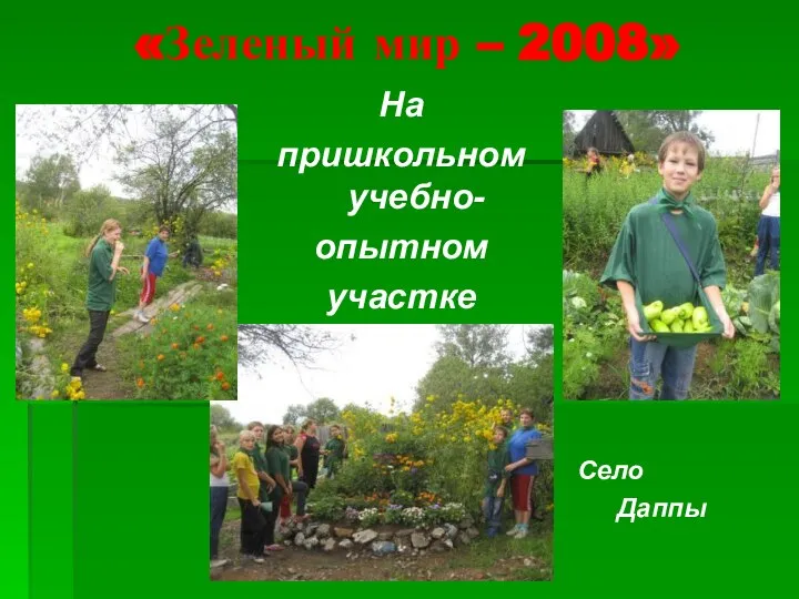 «Зеленый мир – 2008» На пришкольном учебно- опытном участке Село Даппы