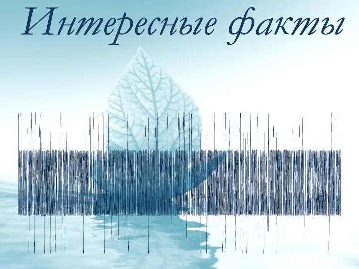 Интересные факты В годы военной службы Афанасий Фет пережил трагическую любовь, которая