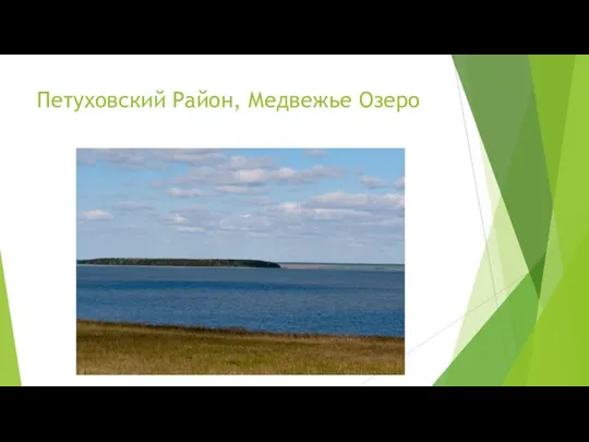 Петуховский Район, Медвежье Озеро