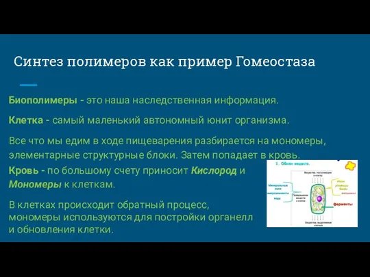 Синтез полимеров как пример Гомеостаза Биополимеры - это наша наследственная информация. Клетка