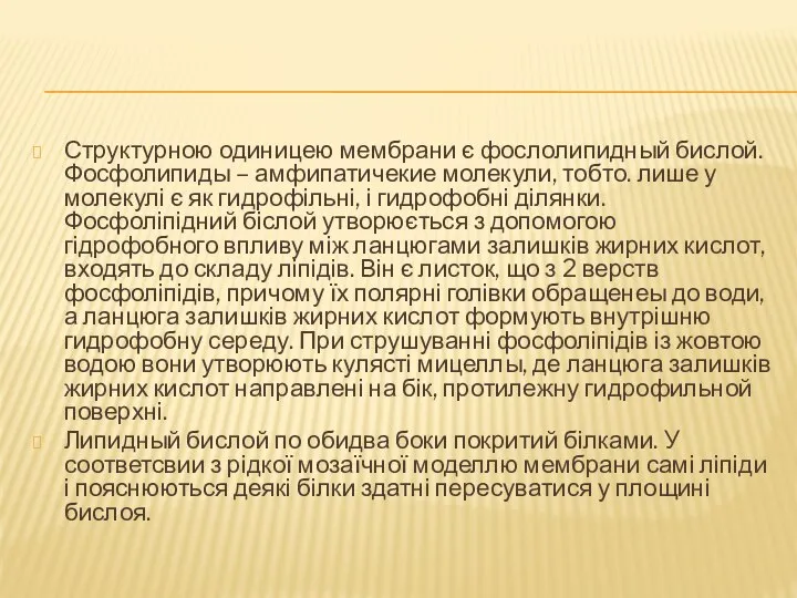 Структурною одиницею мембрани є фослолипидный бислой. Фосфолипиды – амфипатичекие молекули, тобто. лише