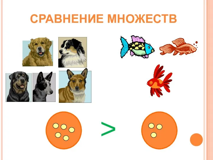 СРАВНЕНИЕ МНОЖЕСТВ >