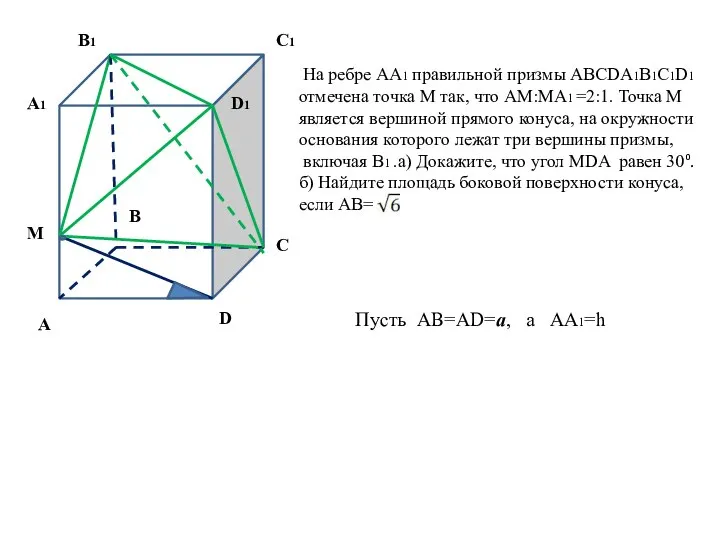 M D1 С С1 D В1 А1 А В На ребре АА1