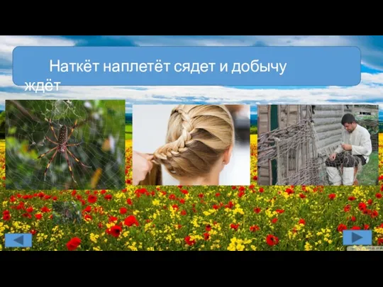 Наткёт наплетёт сядет и добычу ждёт