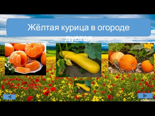 Жёлтая курица в огороде дуется