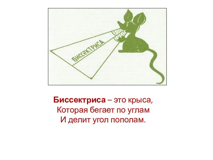 Биссектриса – это крыса, Которая бегает по углам И делит угол пополам.