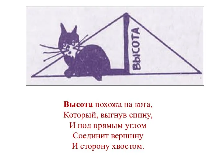 Высота похожа на кота, Который, выгнув спину, И под прямым углом Соединит вершину И сторону хвостом.