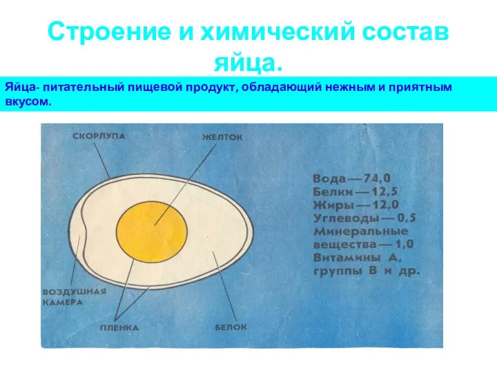 Строение и химический состав яйца. Яйца- питательный пищевой продукт, обладающий нежным и приятным вкусом.