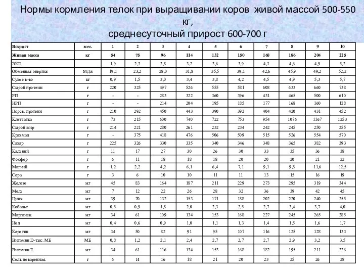 Нормы кормления телок при выращивании коров живой массой 500-550 кг, среднесуточный прирост 600-700 г