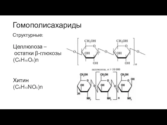 Гомополисахариды Структурные: Целлюлоза – остатки β-глюкозы (C₆H₁₀O₅)n Хитин (С₈H₁₃NO₅)n