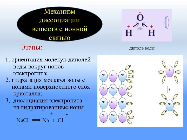 Этапы: диполь воды 1. ориентация молекул-диполей воды вокруг ионов электролита; 2. гидратация
