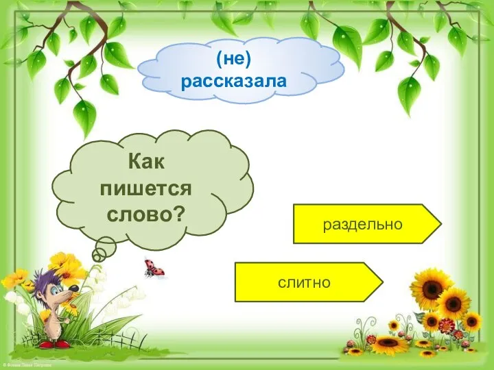 раздельно слитно Как пишется слово? (не)рассказала