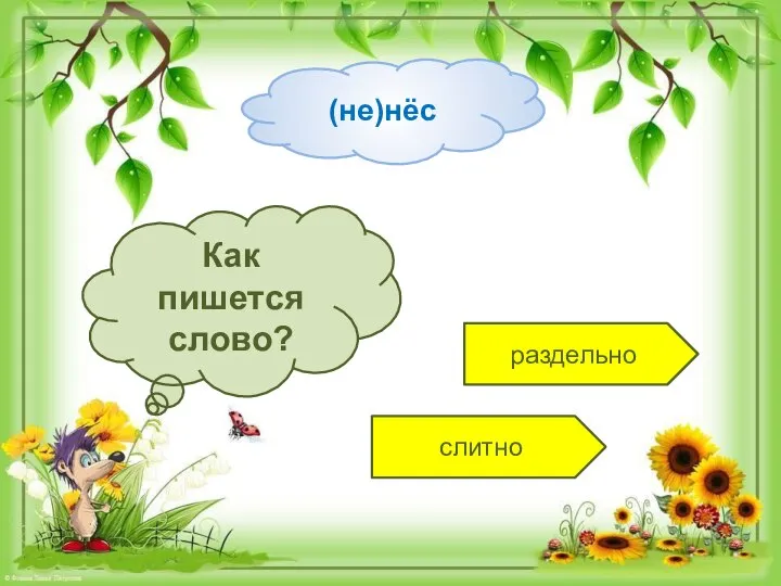 раздельно слитно Как пишется слово? (не)нёс