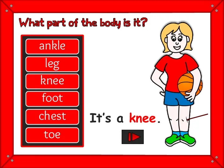 ankle leg knee foot chest toe great It’s a knee.
