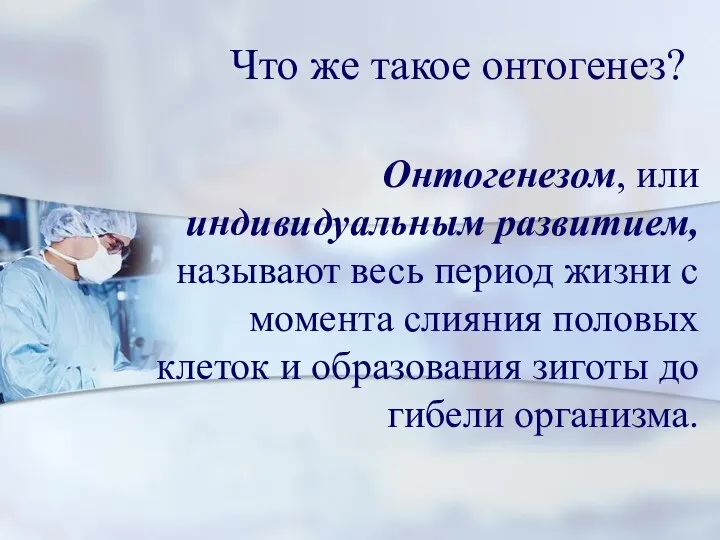 Что же такое онтогенез? Онтогенезом, или индивидуальным развитием, называют весь период жизни