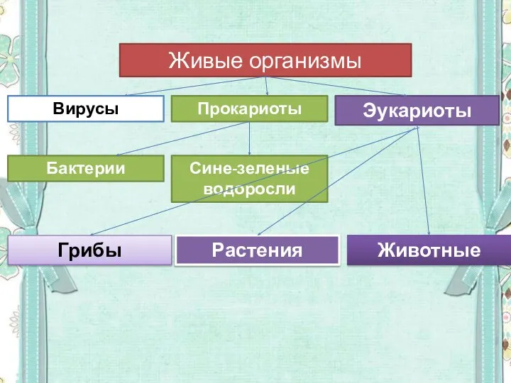 Живые организмы Вирусы Прокариоты Эукариоты Бактерии Сине-зеленые водоросли Грибы Растения Животные