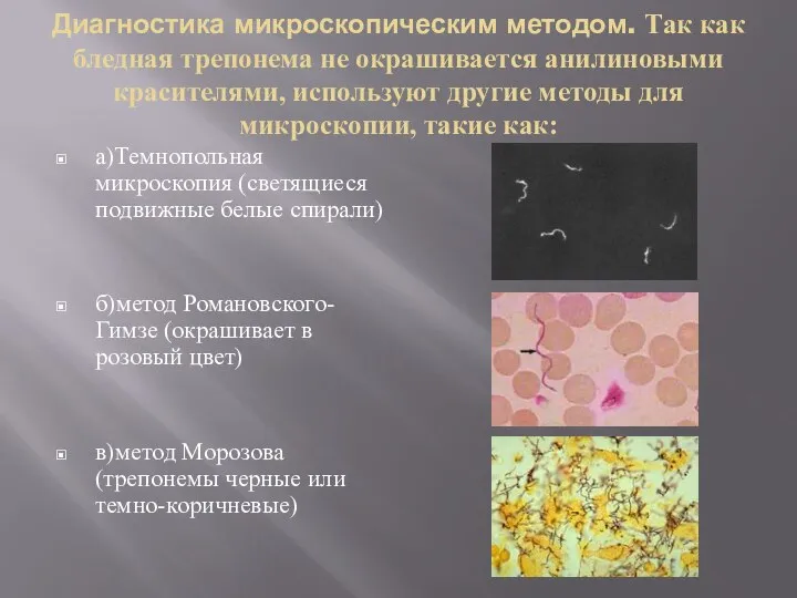 Диагностика микроскопическим методом. Так как бледная трепонема не окрашивается анилиновыми красителями, используют