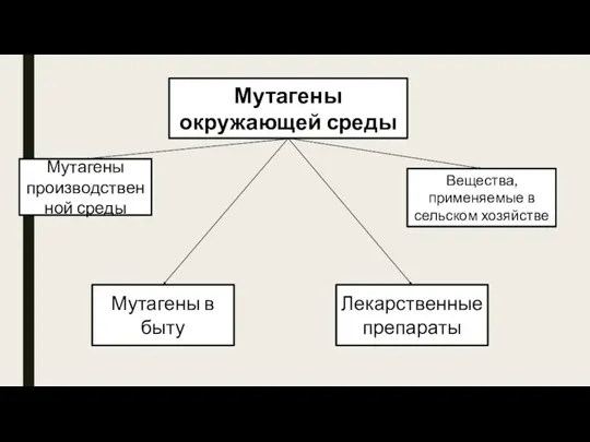 Мутагены окружающей среды Мутагены производственной среды Мутагены в быту Вещества, применяемые в сельском хозяйстве Лекарственные препараты