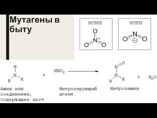 Мутагены в быту