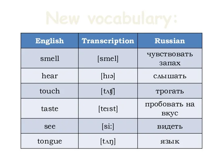 New vocabulary: