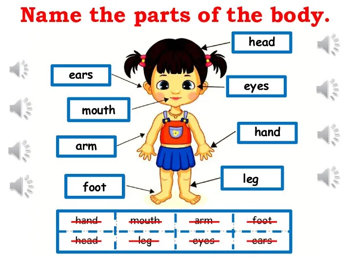 Name the parts of the body. ears head mouth arm foot leg hand eyes