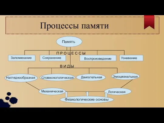 Процессы памяти Память П Р О Ц Е С С Ы Запоминание