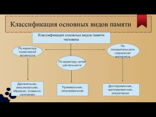 Классификация основных видов памяти Классификация основных видов памяти человека По характеру психической