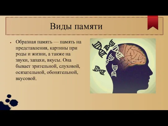 Образная память — память на представления, картины при­роды и жизни, а также