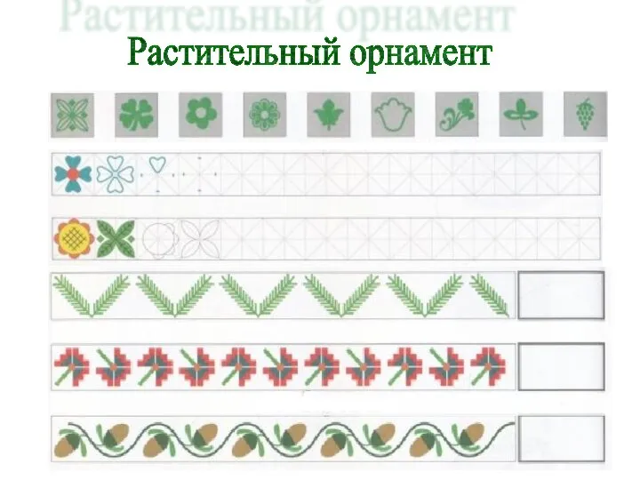 Растительный орнамент