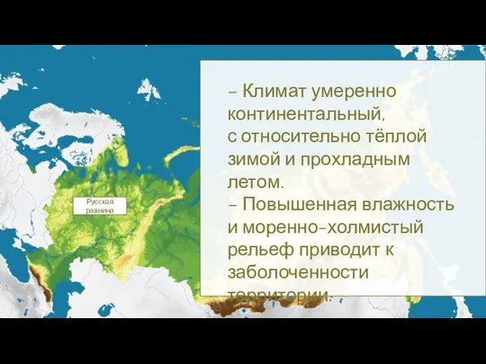 Русская равнина – Климат умеренно континентальный, с относительно тёплой зимой и прохладным