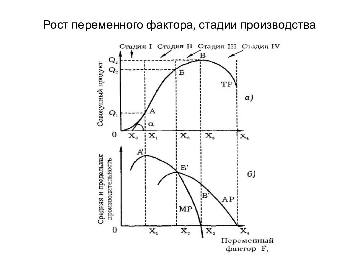 Рост переменного фактора, стадии производства