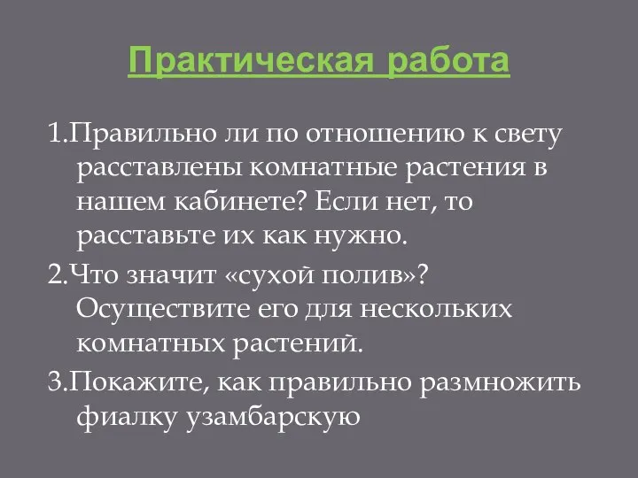 Практическая работа 1.Правильно ли по отношению к свету расставлены комнатные растения в