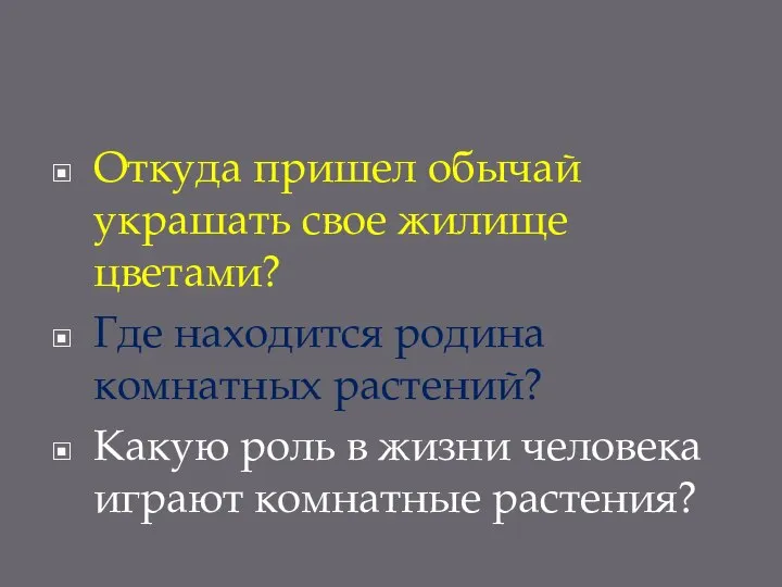 Откуда пришел обычай украшать свое жилище цветами? Где находится родина комнатных растений?