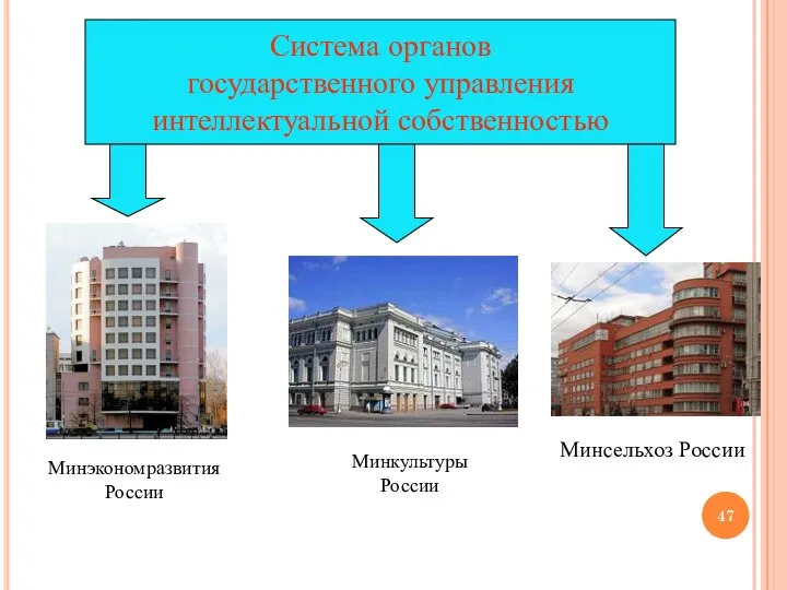 Система органов государственного управления интеллектуальной собственностью Минкультуры России Минэкономразвития России Минсельхоз России