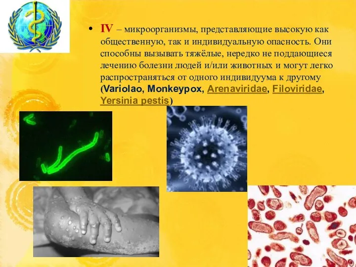 IV – микроорганизмы, представляющие высокую как общественную, так и индивидуальную опасность. Они