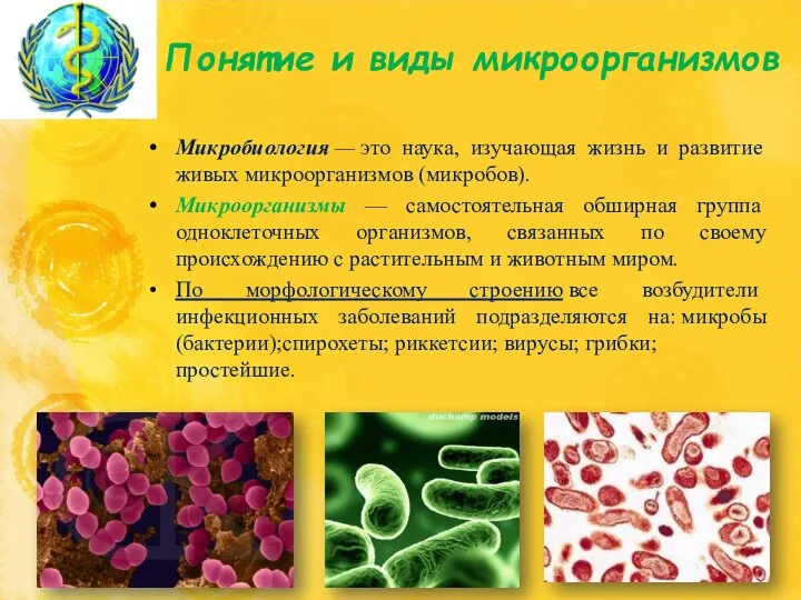 Понятие и виды микроорганизмов Микробиология — это наука, изучающая жизнь и развитие