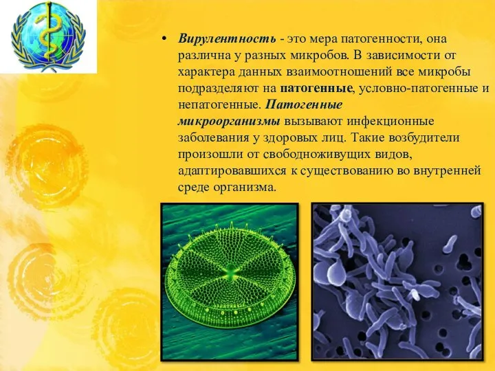 Вирулентность - это мера патогенности, она различна у разных микробов. В зависимости