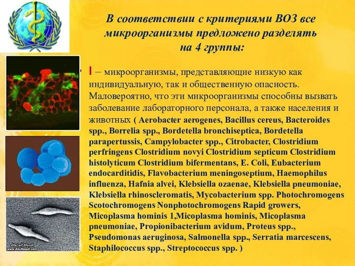 В соответствии с критериями ВОЗ все микроорганизмы предложено разделять на 4 группы: