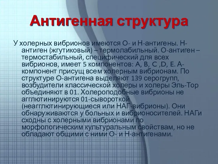 Антигенная структура У холерных вибрионов имеются О- и Н-антигены. Н-антиген (жгутиковый) –