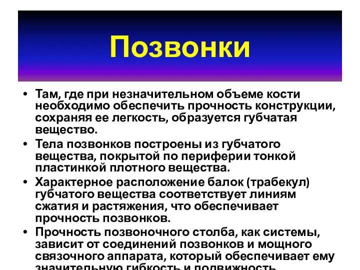 Позвонки Там, где при незначительном объеме кости необходимо обеспечить прочность конструкции, сохраняя