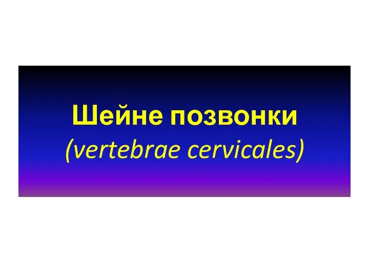 Шейне позвонки (vertebrae cervicales)
