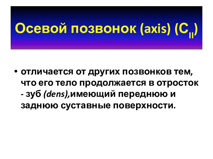 Осевой позвонок (axis) (СII) отличается от других позвонков тем, что его тело