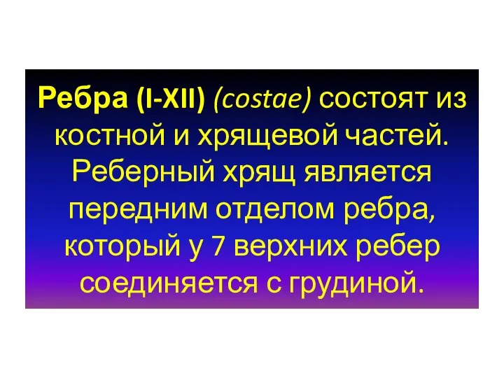 Ребра (I-XII) (costae) состоят из костной и хрящевой частей. Реберный хрящ является