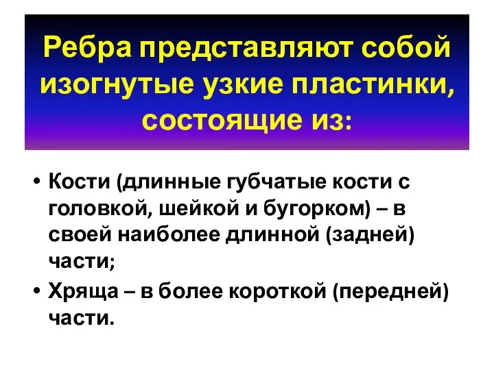 Ребра представляют собой изогнутые узкие пластинки, состоящие из: Кости (длинные губчатые кости