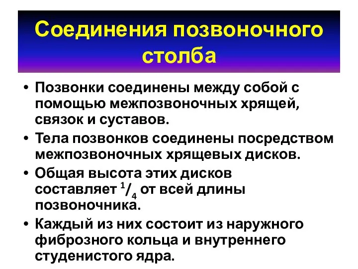 Соединения позвоночного столба Позвонки соединены между собой с помощью межпозвоночных хрящей, связок