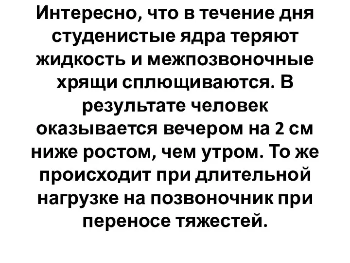 Интересно, что в течение дня студенистые ядра теряют жидкость и межпозвоночные хрящи