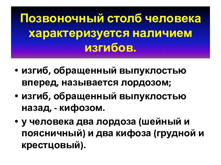 Позвоночный столб человека характеризуется наличием изгибов. изгиб, обращенный выпуклостью вперед, называется лордозом;